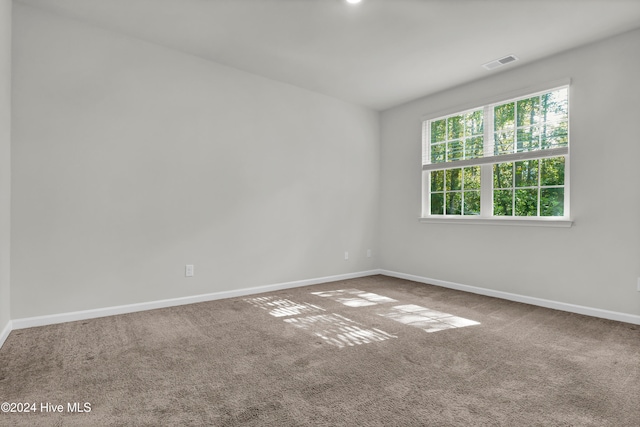 spare room with carpet floors