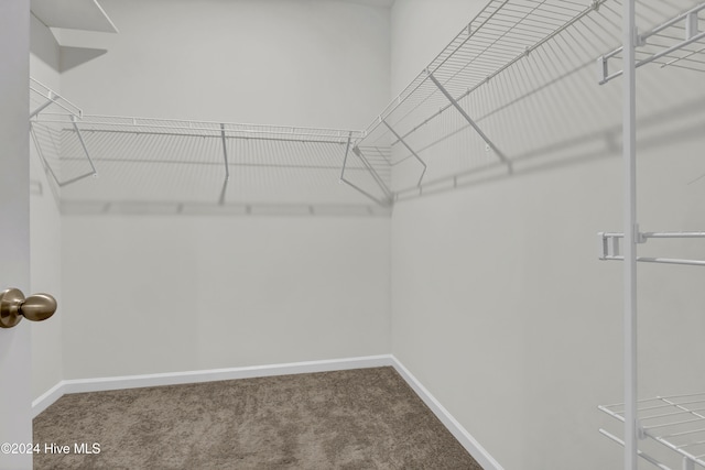 spacious closet with carpet flooring