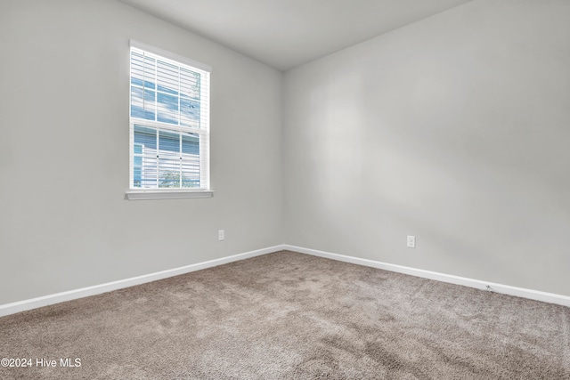 carpeted spare room with a healthy amount of sunlight