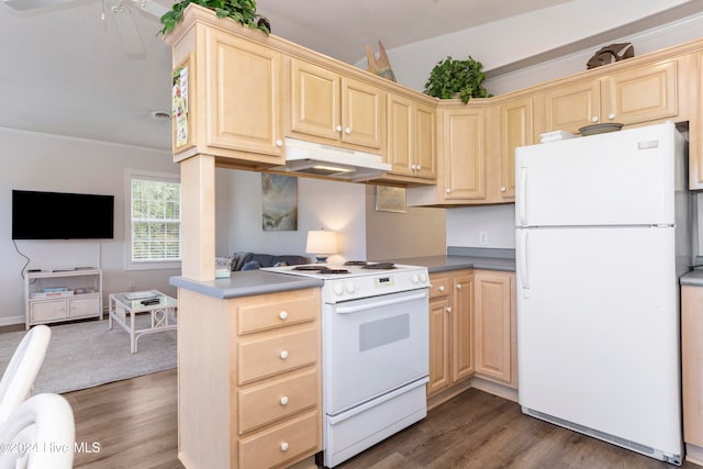 kitchen featuring ornamental molding, dark hardwood / wood-style flooring, light brown cabinetry, and white appliances