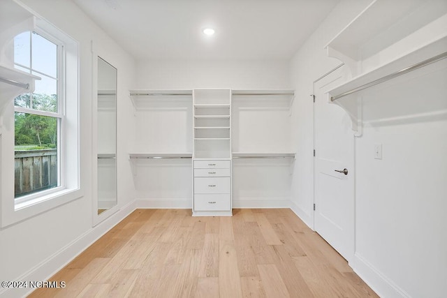 612 Waterstone Dr, Wilmington, NC 28411 - spacious closet featuring light wood-type flooring