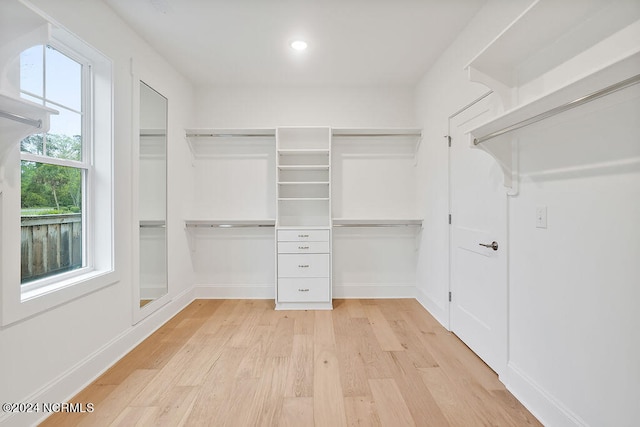 spacious closet with light hardwood / wood-style flooring