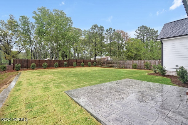 view of yard featuring a patio