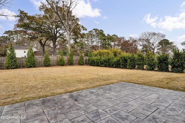 view of yard with a patio