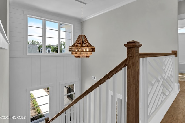 stairs featuring a wealth of natural light, wooden walls, and hardwood / wood-style flooring