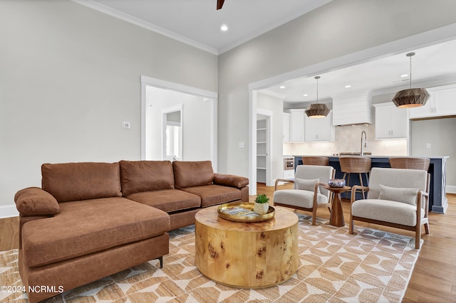 living room featuring ornamental molding and light hardwood / wood-style flooring