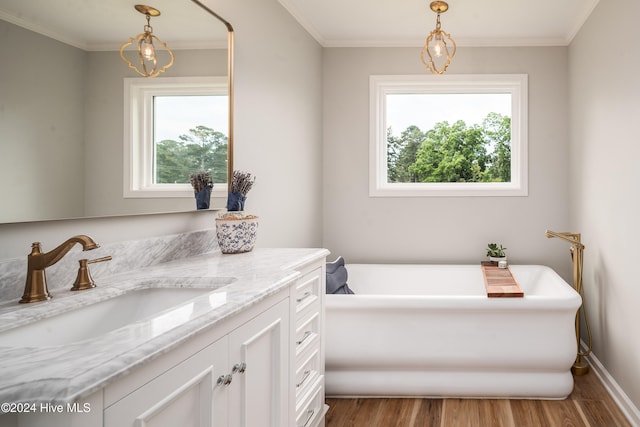 bathroom featuring vanity, a tub, a healthy amount of sunlight, and hardwood / wood-style floors