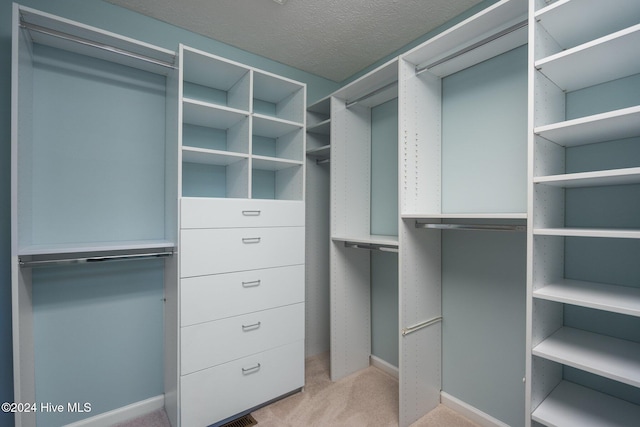 spacious closet with light colored carpet