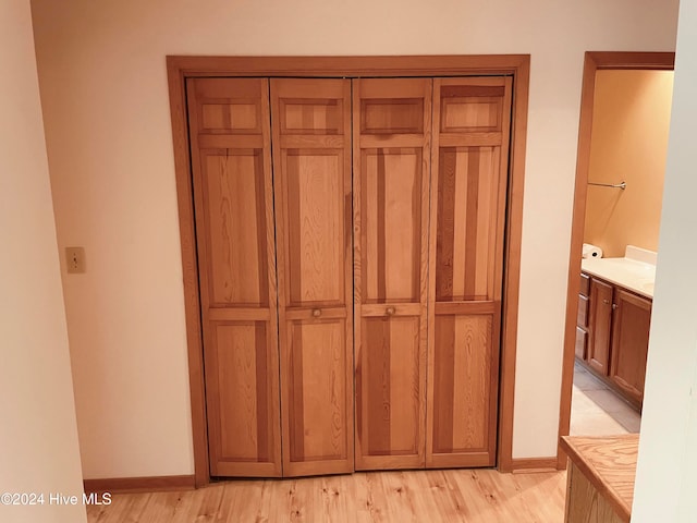 interior details featuring vanity and wood-type flooring