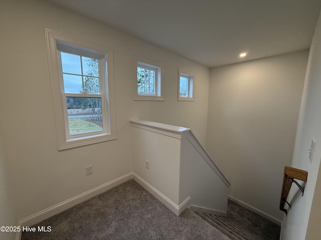 staircase with plenty of natural light and carpet floors