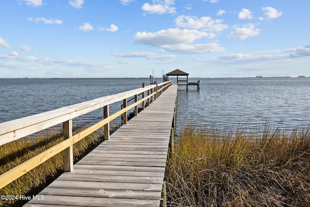 dock area with a water view