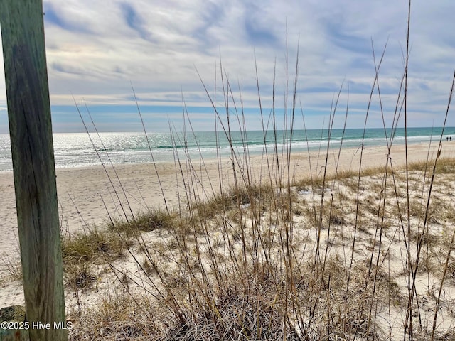 water view featuring a beach view