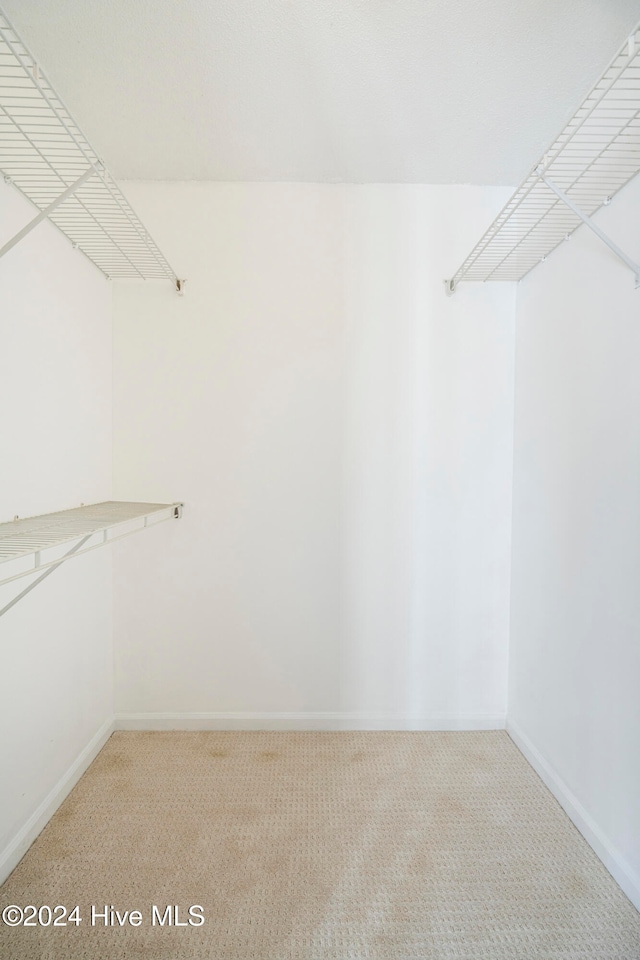 spacious closet with carpet