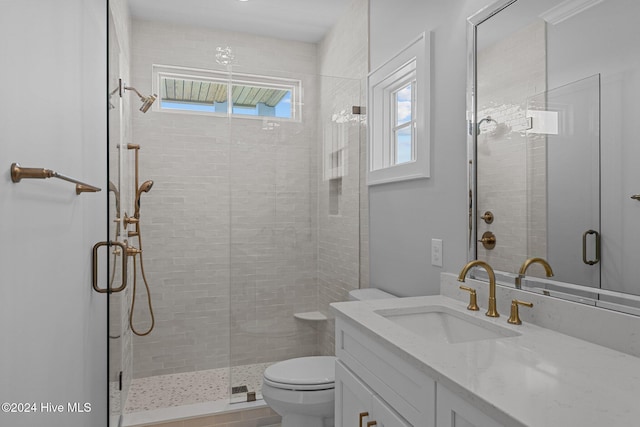 bathroom featuring a shower with door, vanity, and toilet