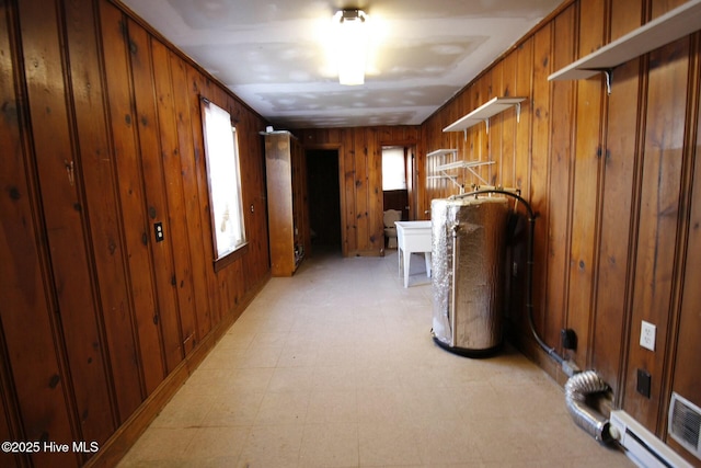 washroom featuring wood walls and a healthy amount of sunlight