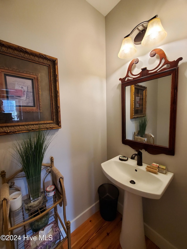 bathroom with hardwood / wood-style flooring