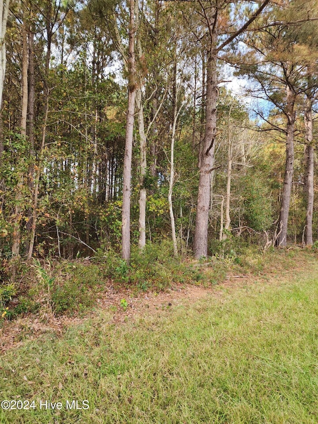 Listing photo 3 for 23.57AC Piney Woods Rd, Willard NC 28478