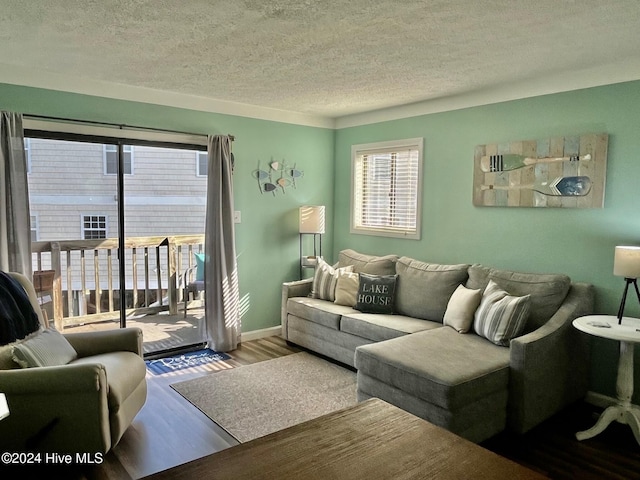 living room with a textured ceiling and wood-type flooring