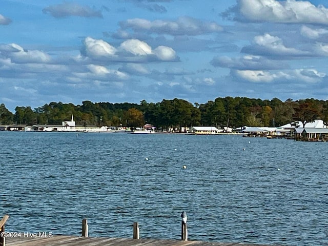 property view of water with a dock