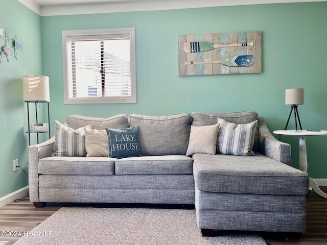 living room with wood-type flooring