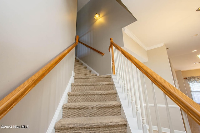 staircase featuring carpet flooring and ornamental molding