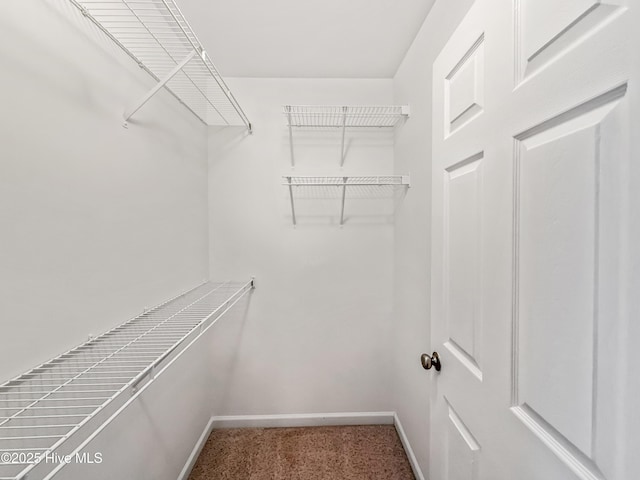 view of spacious closet