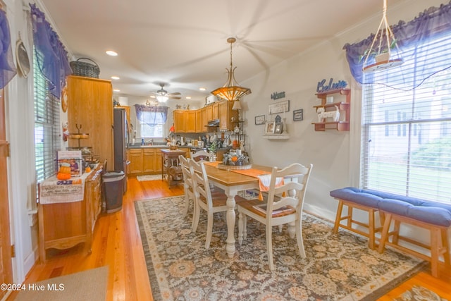 dining area with ornamental molding, ceiling fan, and light hardwood / wood-style floors