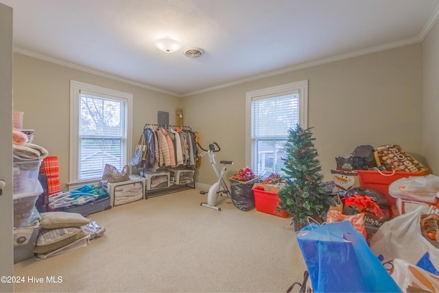 recreation room with ornamental molding, plenty of natural light, and carpet flooring