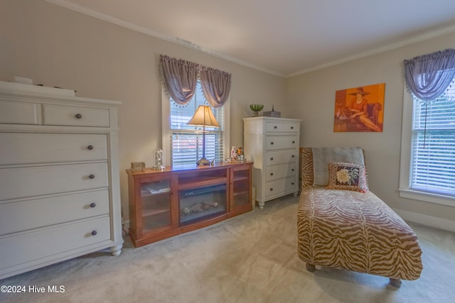 living area featuring light colored carpet, ornamental molding, and plenty of natural light