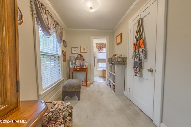 doorway to outside with ornamental molding, plenty of natural light, and light colored carpet