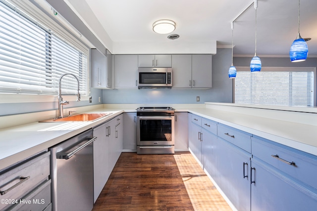 kitchen with dark hardwood / wood-style floors, stainless steel appliances, sink, gray cabinets, and decorative light fixtures