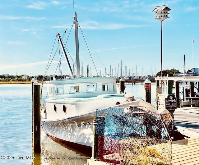 dock area with a water view