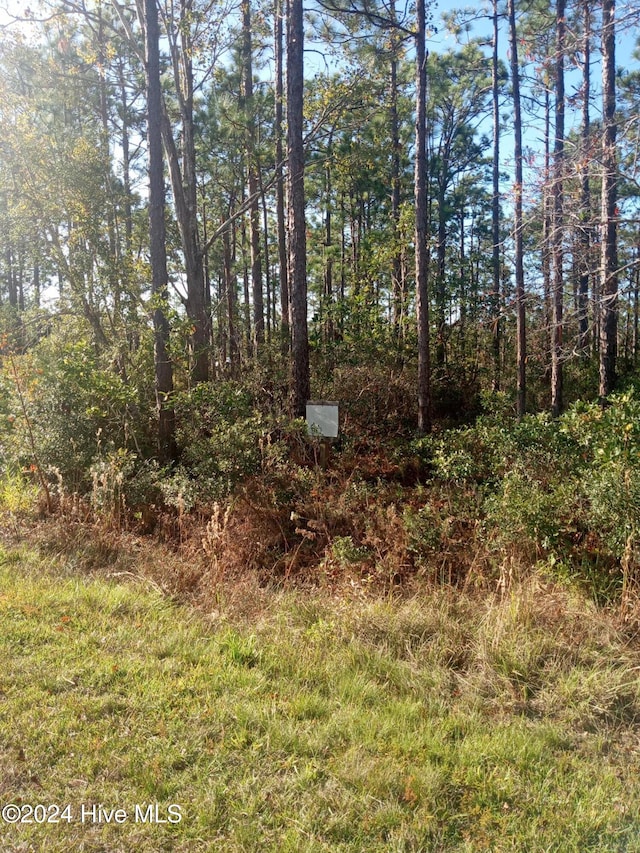 5 Monroe Rd Unit 5, Boiling Spring Lakes NC, 28461 land for sale