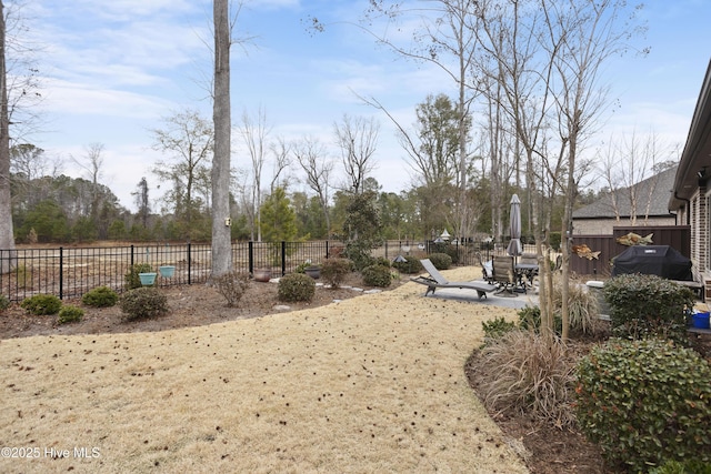 view of yard with a patio area