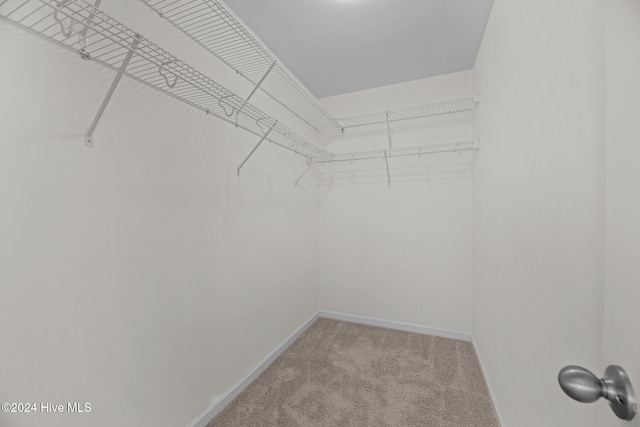 walk in closet with light colored carpet