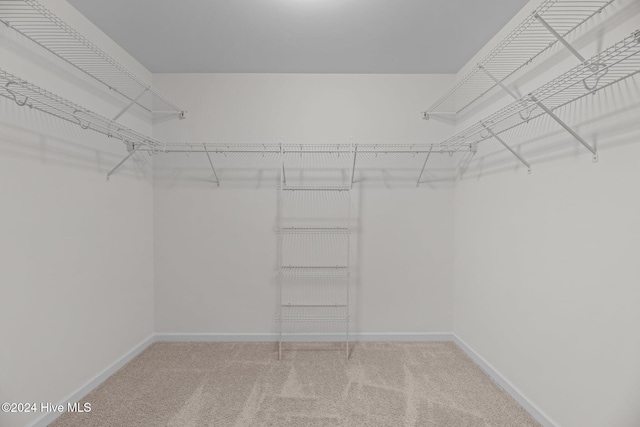 spacious closet with carpet