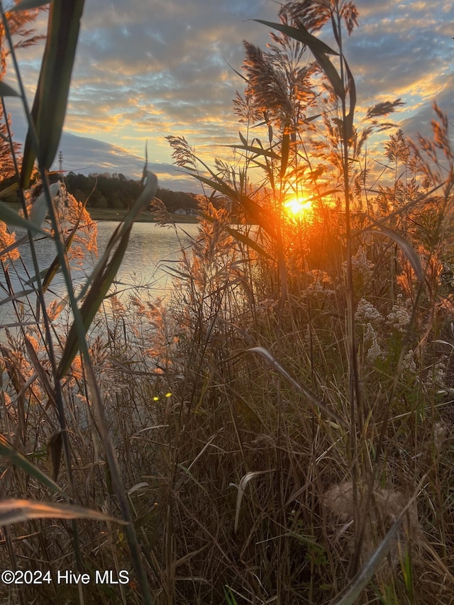 view of nature at dusk