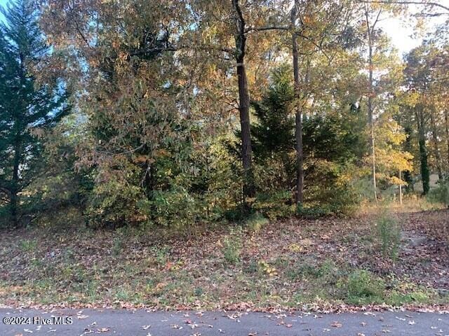 Listing photo 2 for TBD Truitt St, Murfreesboro NC 27855