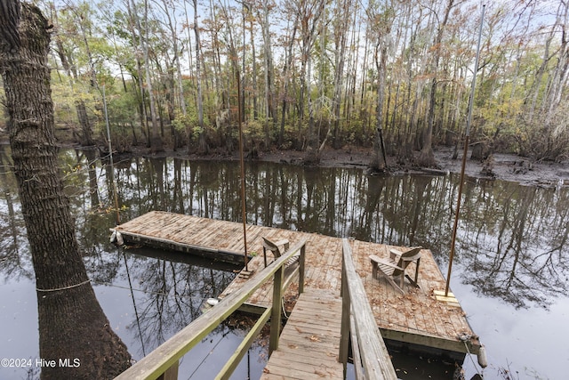 dock area featuring a water view