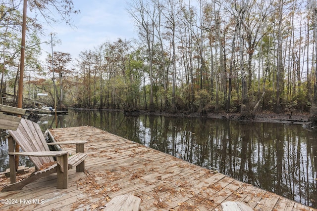 dock area featuring a water view