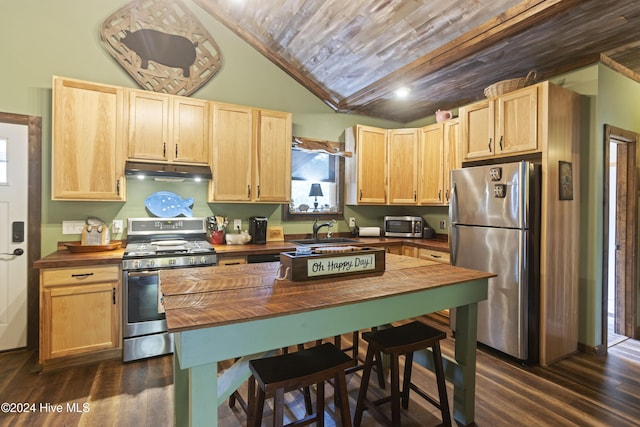 kitchen featuring lofted ceiling, dark wood-type flooring, sink, butcher block counters, and stainless steel appliances