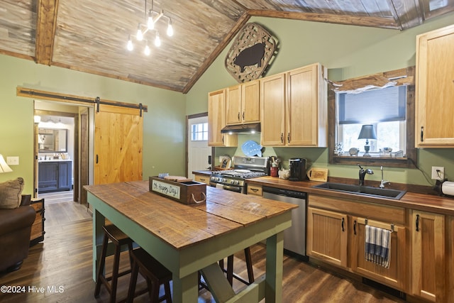 kitchen with tile counters, a barn door, plenty of natural light, and stainless steel appliances