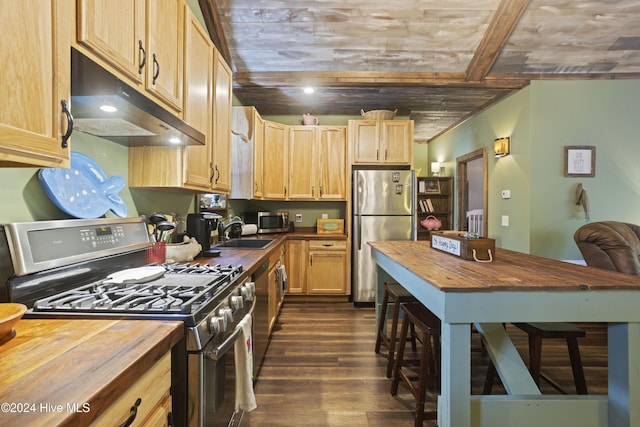 kitchen featuring light brown cabinets, sink, stainless steel appliances, dark wood-type flooring, and wooden counters