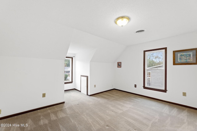 additional living space with light colored carpet, a textured ceiling, and lofted ceiling