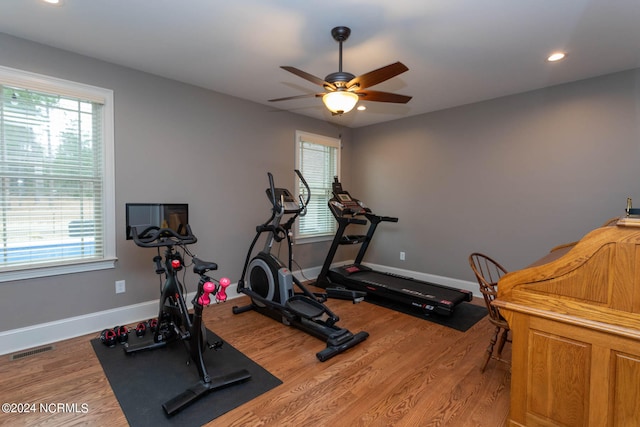 exercise area with wood-type flooring and ceiling fan