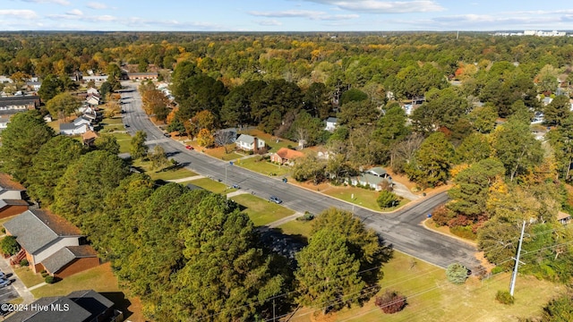 bird's eye view