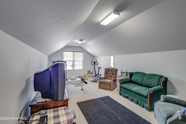 74 Driftwood Ct, Arapahoe, NC 28510 - living area with carpet floors and vaulted ceiling
