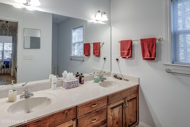 bathroom with toilet and vanity