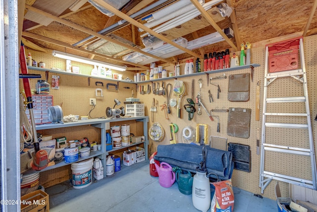 74 Driftwood Ct, Arapahoe, NC 28510 - view of storage