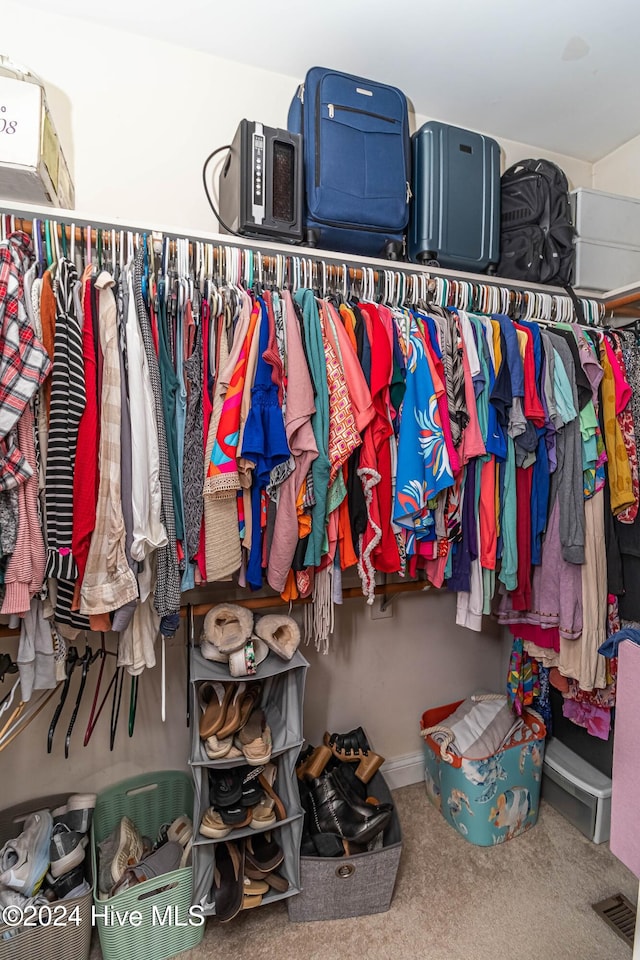 spacious closet featuring carpet floors